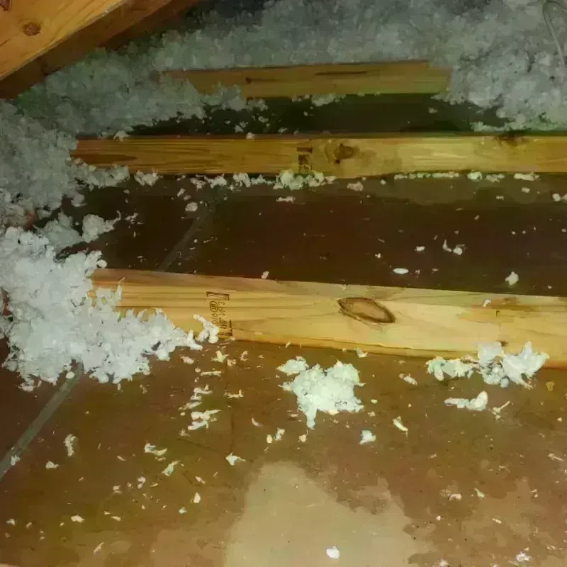 Attic Water Damage in Dunkirk, NY