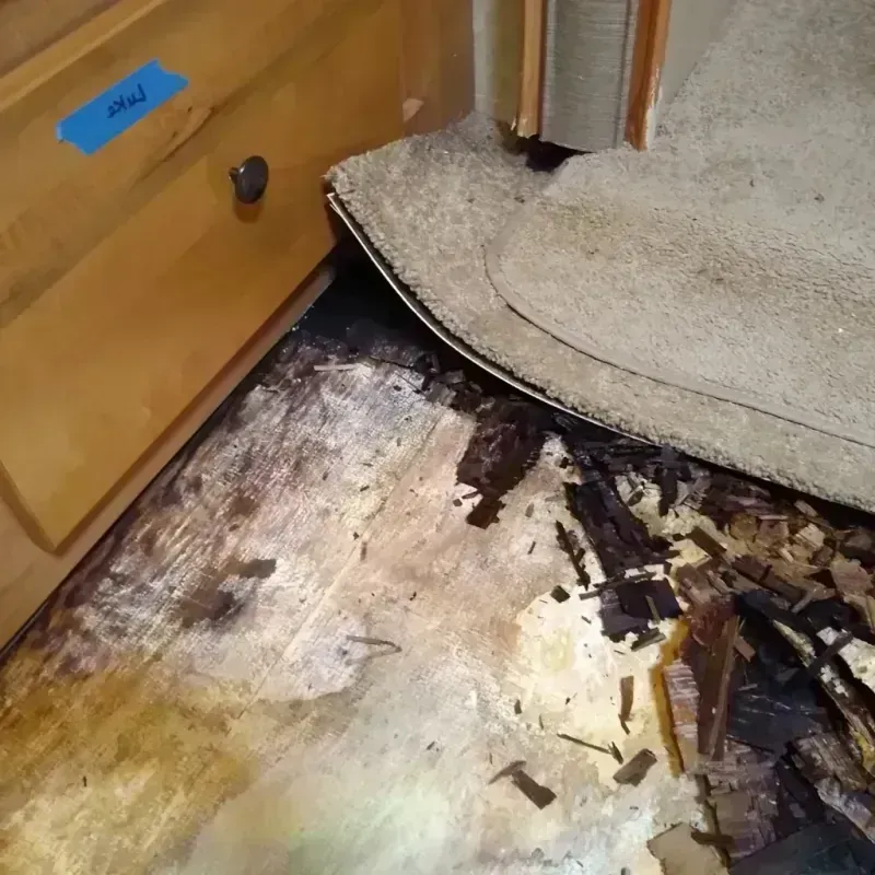 Wood Floor Water Damage in Dunkirk, NY